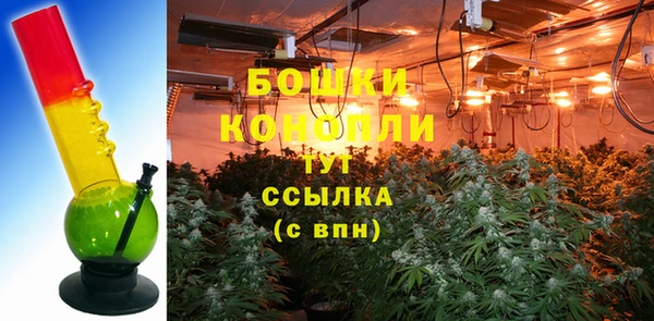 ГАЛЛЮЦИНОГЕННЫЕ ГРИБЫ Няндома