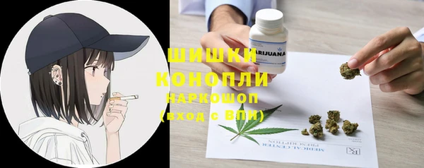 ГАЛЛЮЦИНОГЕННЫЕ ГРИБЫ Няндома