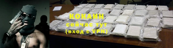 ГАЛЛЮЦИНОГЕННЫЕ ГРИБЫ Няндома